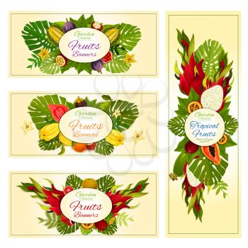 Tropical fruit banners with orange, exotic dragon fruit, feijoa, papaya, carambola and durian, passion fruit, guava, fig, lychee and mangosteen, tamarillo, rambutan and palm leaves