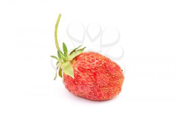 Fresh ripe strawberry 