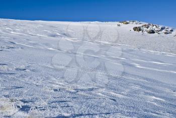 Royalty Free Photo of a Snowy Background