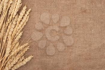 Wheat ears border on burlap background 