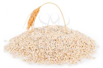 pile of pearl barley