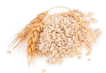Pearl barley with spikelets