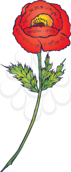 Poppy Remembrance Day Clipart