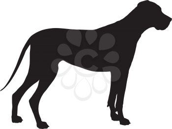A Great Dane dog shown in black silhouette profile. 