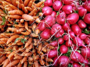 Carrots and radishes at the farmer's market.