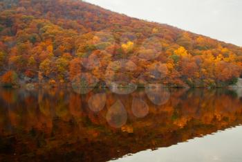 Beautiful fall colors reflecting in the forest lake.