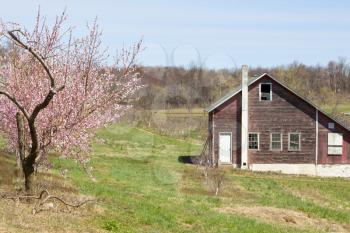 Old country barn on farmland