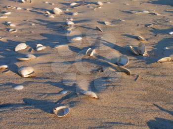 Sandy beach.