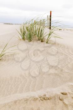 Wooden fence, grass and white sand dunes on the beach.