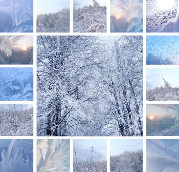 Collage of ice pattern on winter glass and trees under the snow