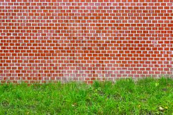 Brick red wall and green grass texture