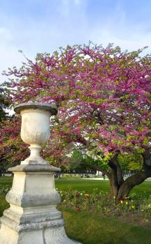 Decoration of Tuileries garden in Paris, France