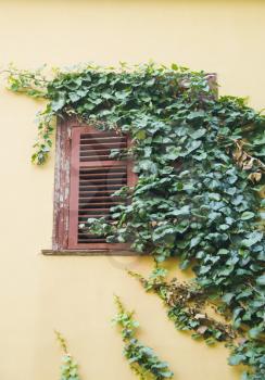 Closed window of a house, Athens, Greece