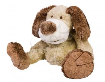Close-up of a stuffed dog toy