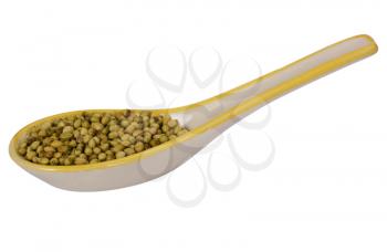 Close-up of a spoon full of coriander seeds