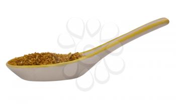 Close-up of spoon full of oat flakes