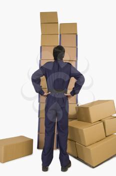 Rear view of a store incharge looking at cardboard boxes