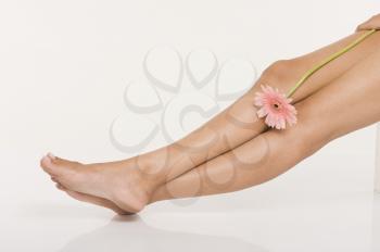 Woman's legs with a daisy flower