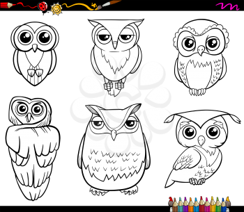Black and White Cartoon Illustration of Owl Birds Animal Characters Set Coloring Page