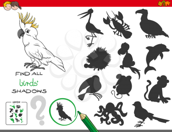 Cartoon Illustration of Finding All Birds Shadows Educational Activity for Children