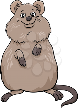 Cartoon illustration of quokka comic animal character