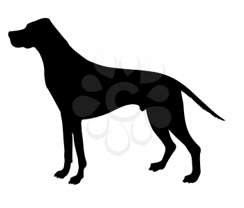 Royalty Free Clipart Image of a Dog 