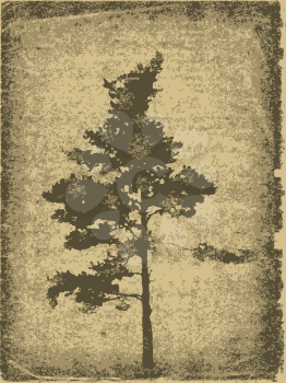 Royalty Free Clipart Image of a Grungy Tree Background