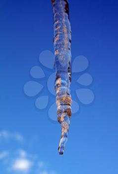 icicle