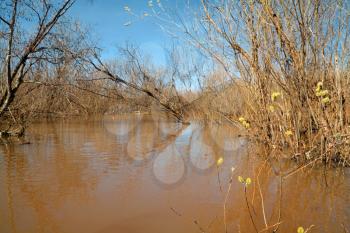 spring flood in old wood