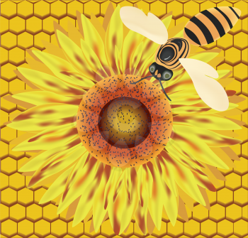 Royalty Free Clipart Image of a Bee and Flower on a Honeycomb Background