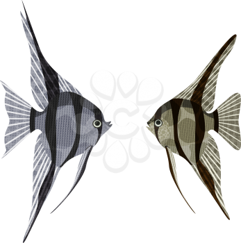 Exotic aquarium fish Amazon basin: altum and scalar, EPS10 - vector graphics.