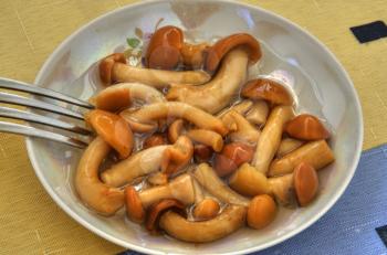 seductive mushrooms on a plate are prepared for a dinner