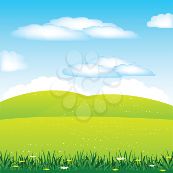 Vector illustration  meadow with flower by summer