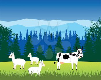 The Livestock to bemoan on alpine meadow.Vector illustration
