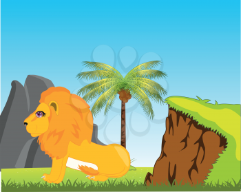 Vector illustration of the wildlife lion in africa