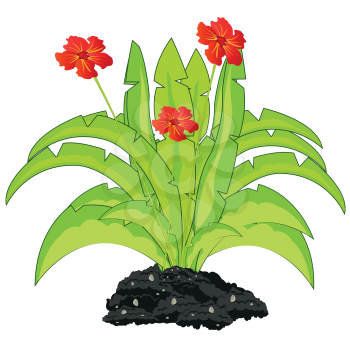 Vector illustration of the green bush with red flower on white background