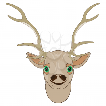 Head of the deer with horn on white background is insulated