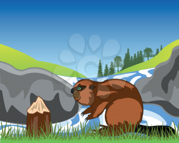 Wildlife beaver beside waterfall on nature vector illustration