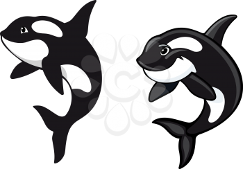 Two killer whales in cartoon style for wildlife design