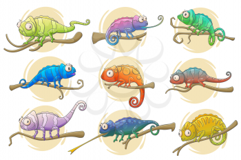 Chameleon lizard icons of reptile animals vector design. Colorful chameleons sitting on branches of exotic tropical forest or jungle tree with long tails, tongues and bright camouflage patterns