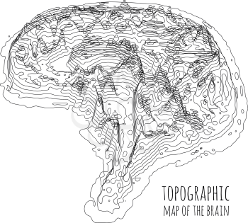 The brain in the form of a topographic map. The concept of modern technology, data transfer between neurons. Vector illustration