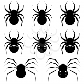 Set black spiders