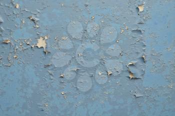 Cracked old paint on a blue wall.