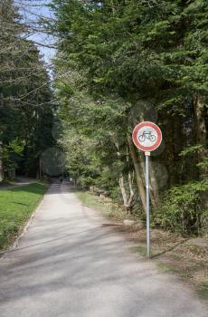 A path in the forest between trees and a road sign prohibiting the movement of bicycles on this road.