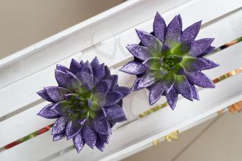 Succulents painted in lilac spangles, against a white wooden shelf