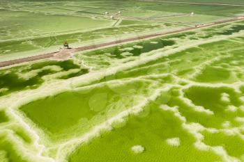 The green saline lake and beach pavilion, natural lake background. Photo in Qinghai, China.