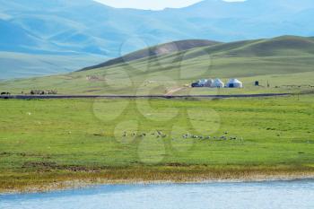 Winding rivers and meadows. Shot in xinjiang, China.