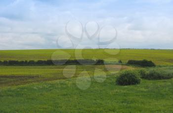 English countryside seen from a train near Liverpool, with selective focus on the horizon and motion blur on the foreground