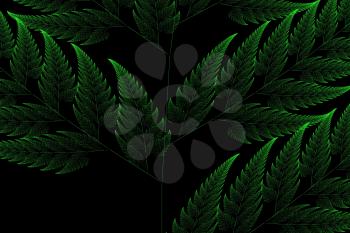 Green Barnsley set fern abstract fractal illustration useful as a background