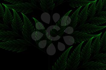 Green Barnsley set fern abstract fractal illustration useful as a background
